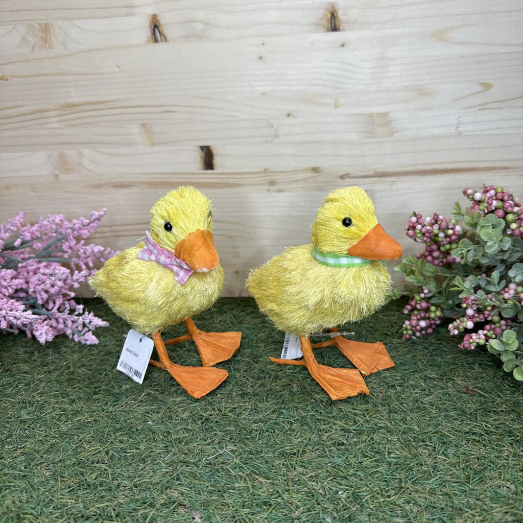 Duck