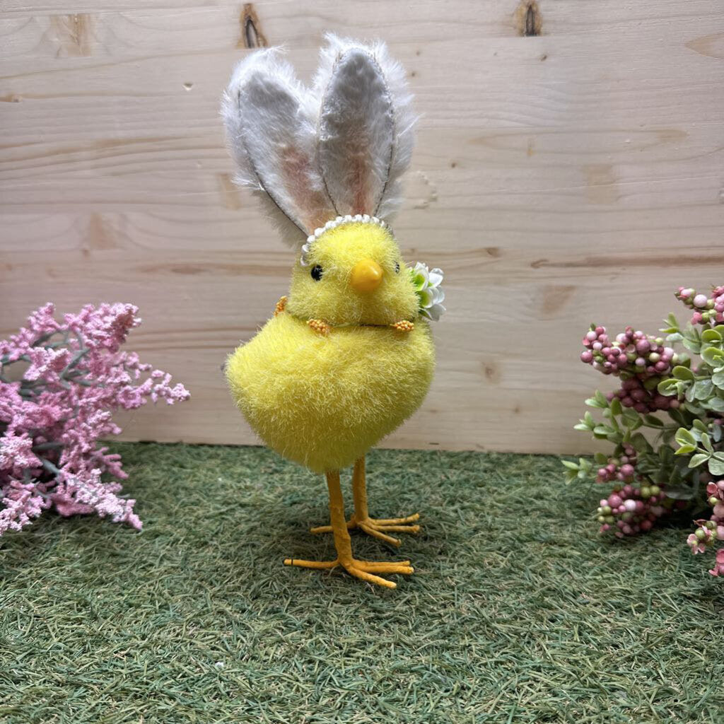 chick with ears