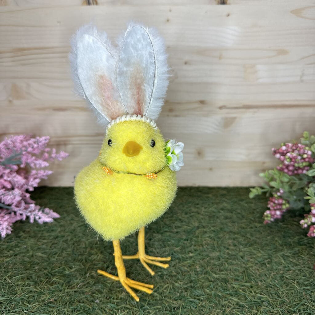 chick with ears