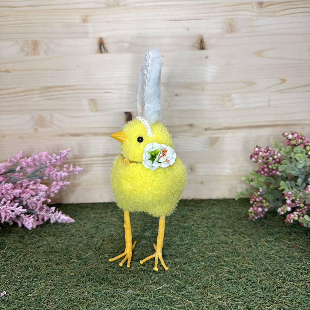 chick with ears