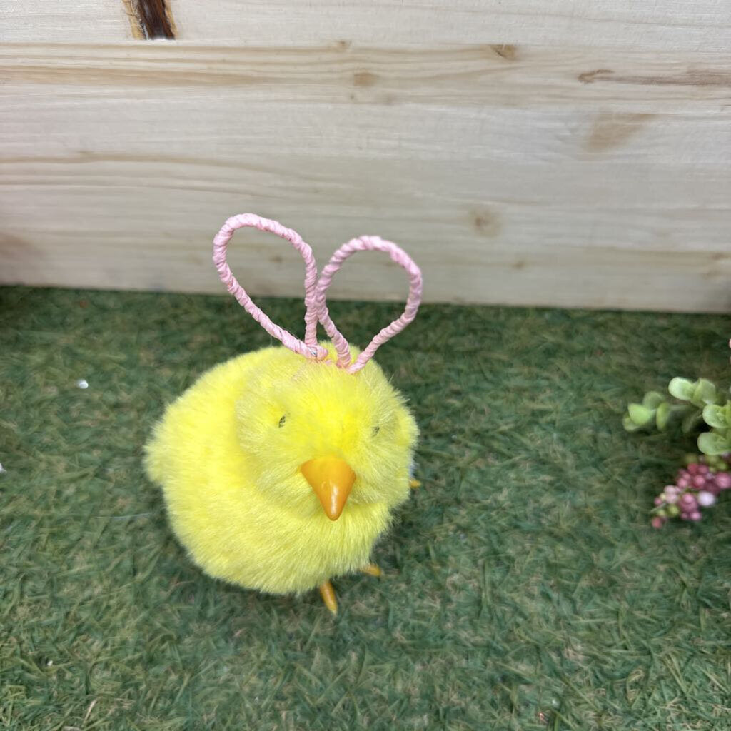 Chick