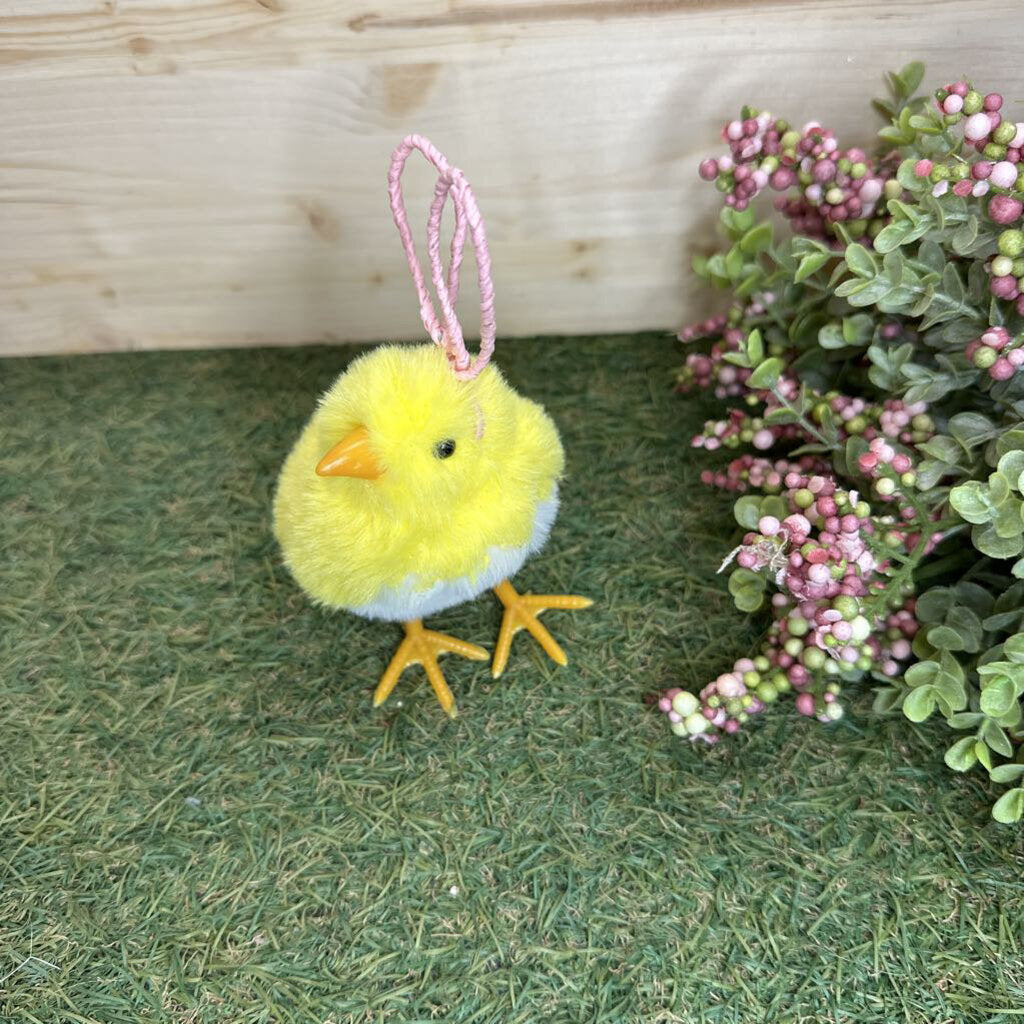 Chick