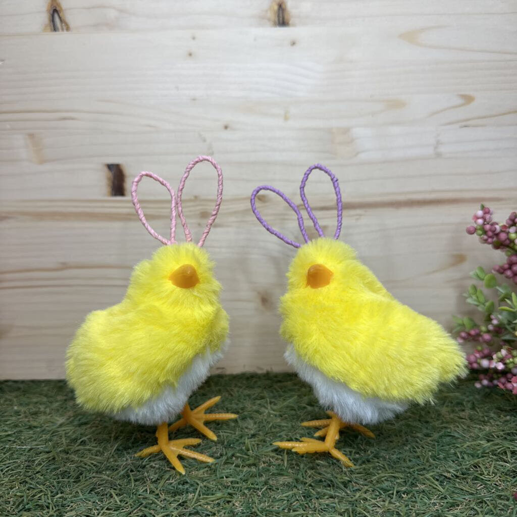 Chick