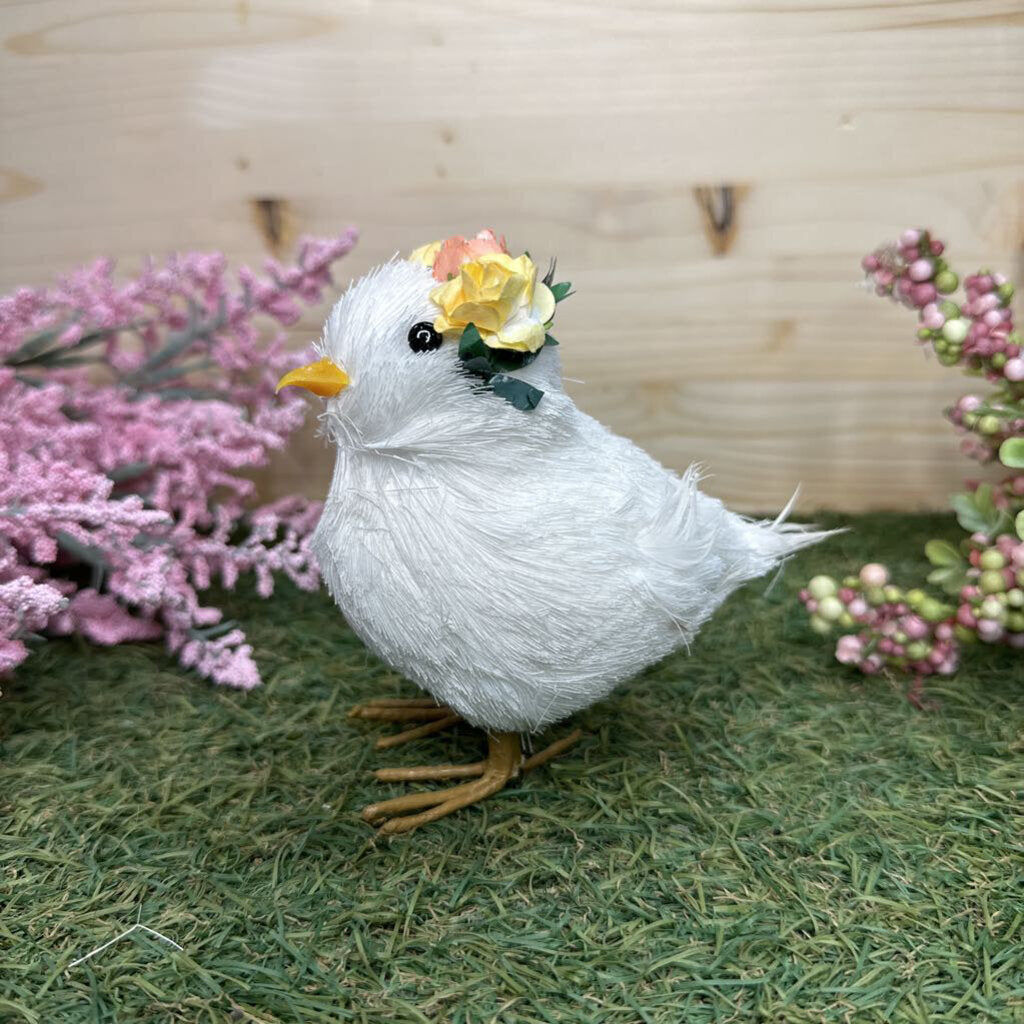 Chick