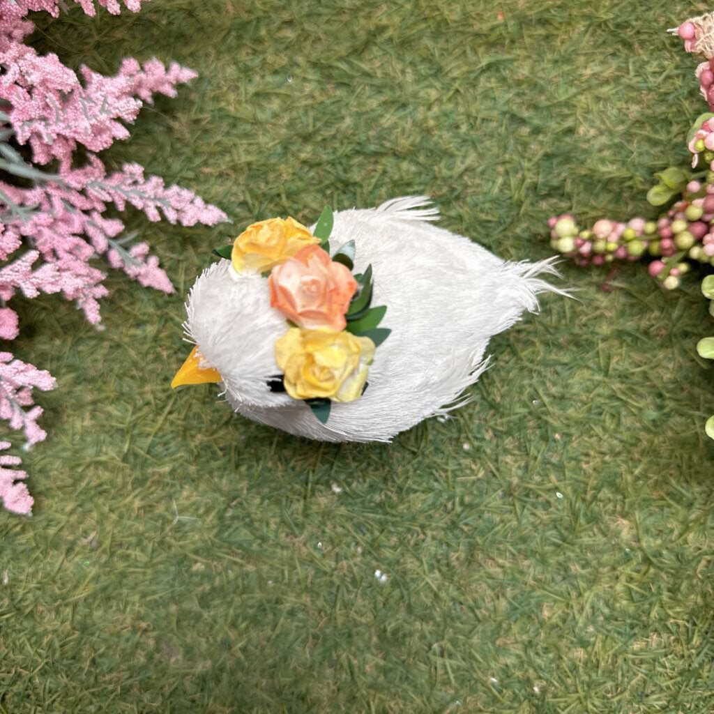 Chick