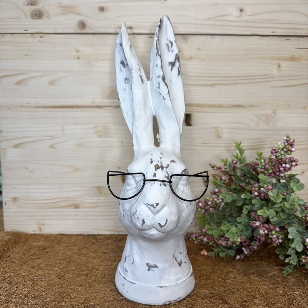 Large Bunny with Glasses