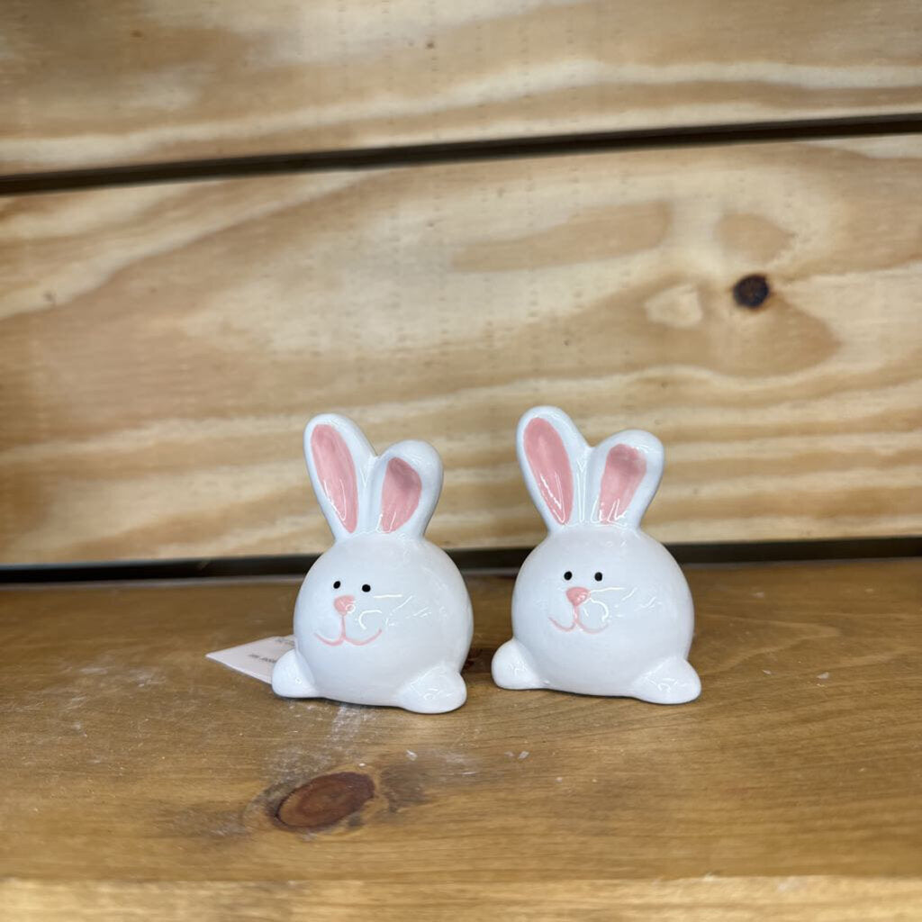 Bunny Salt and Pepper Set